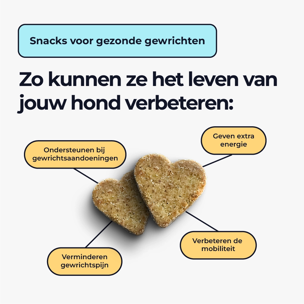 PetMotion™ - Gewrichtssnacks
