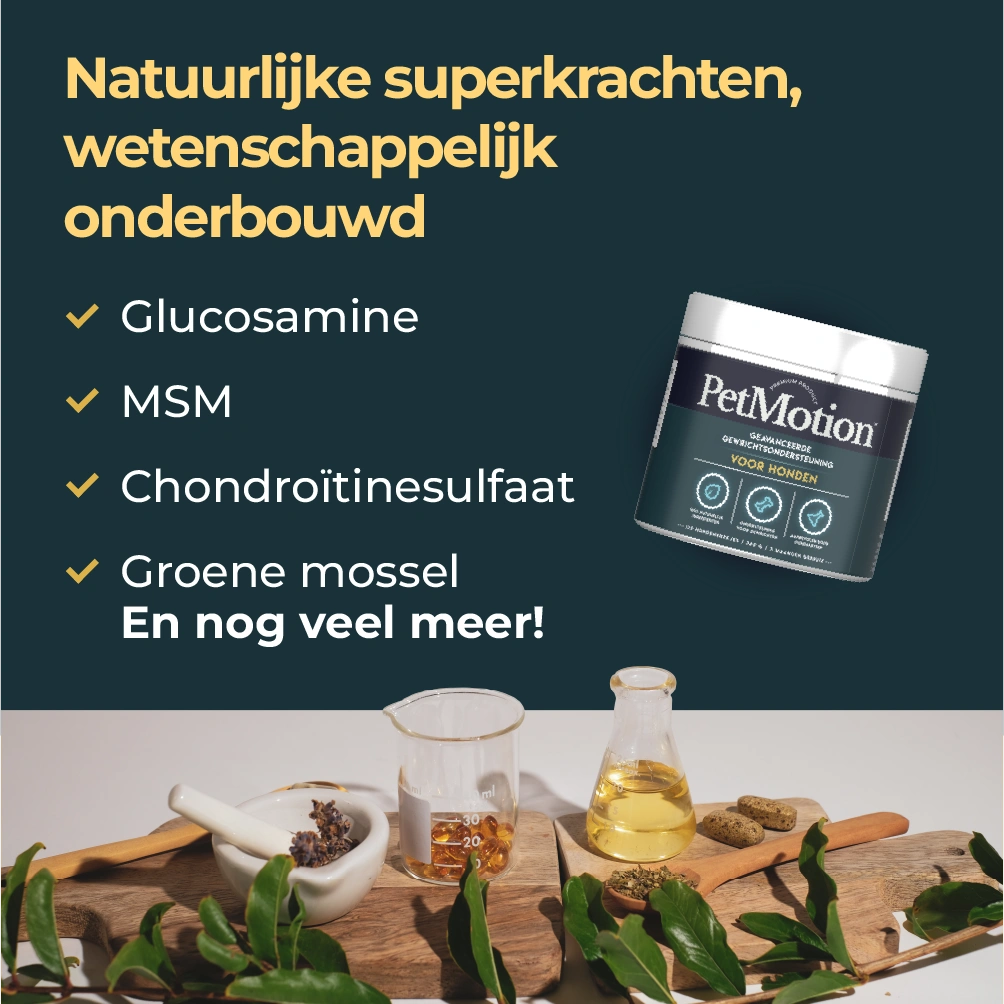 PetMotion™ - Gewrichtssnacks